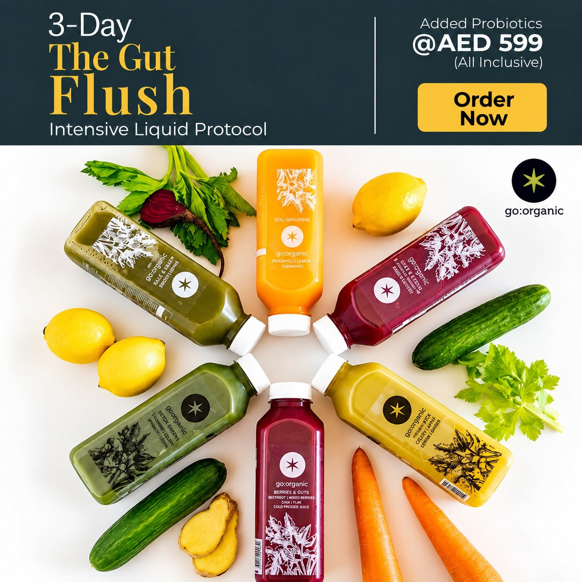 3 Day New Gut & Electrolyte Flush With Protein + Fiber Daily